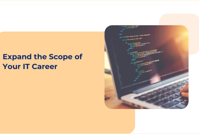 B.Sc. IT in Cybersecurity